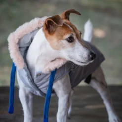 Freedog Iceguard Capa de Chuva Cinzenta para cães