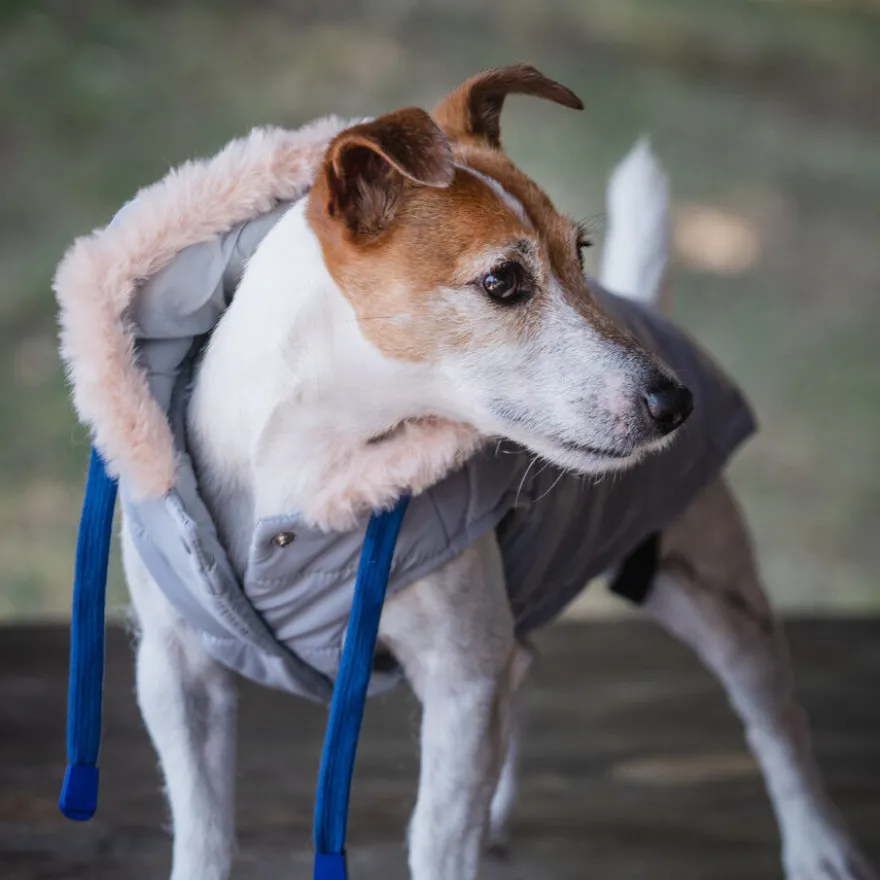 Freedog Iceguard Capa de Chuva Cinzenta para cães