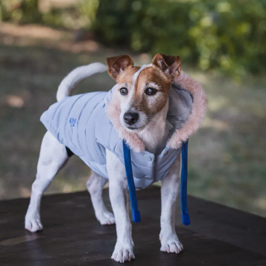 Freedog Iceguard Capa de Chuva Cinzenta para cães