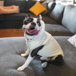 Freedog Winterhug Capa de Chuva bege para cães