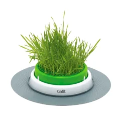 Germinador de erva para gatos Catit Senses 2.0