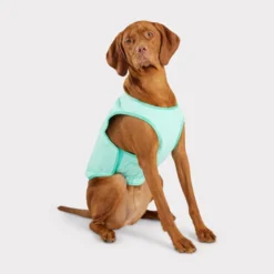 GF Pet ElastoFit Ice Vest Colete Refrescante para cães