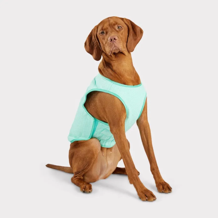 GF Pet ElastoFit Ice Vest Colete Refrescante para cães