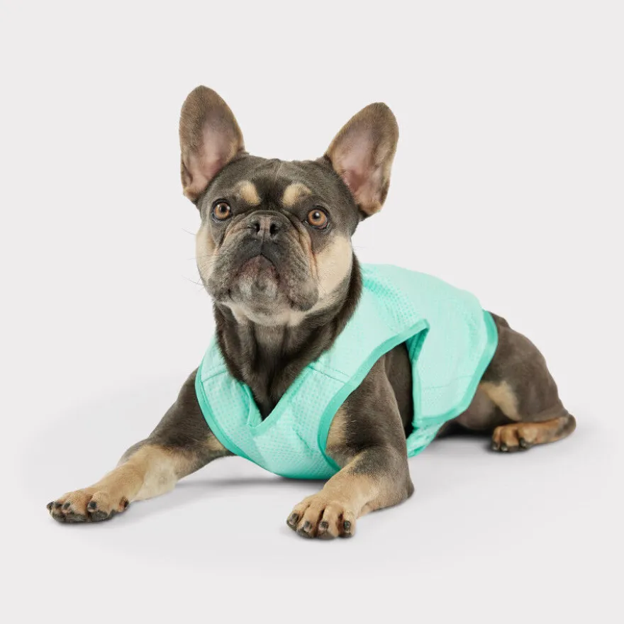 GF Pet ElastoFit Ice Vest Colete Refrescante para cães