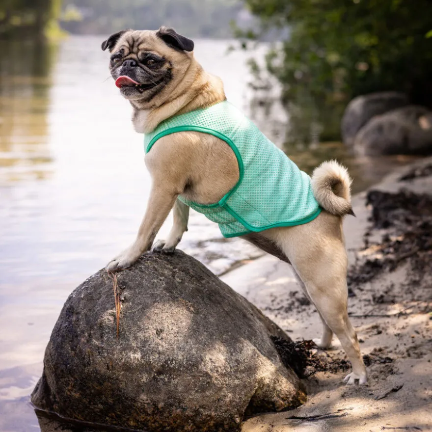 GF Pet ElastoFit Ice Vest Colete Refrescante para cães