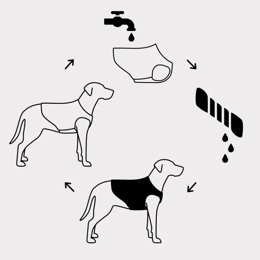 GF Pet ElastoFit Ice Vest Colete Refrescante para cães