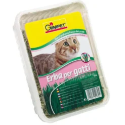 GimPet Erva Gateira em tabuleiro para gatos