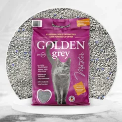 Golden Grey Master Areia Aglomerante para gatos