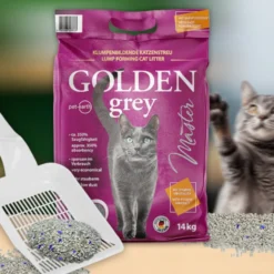 Golden Grey Master Areia Aglomerante para gatos