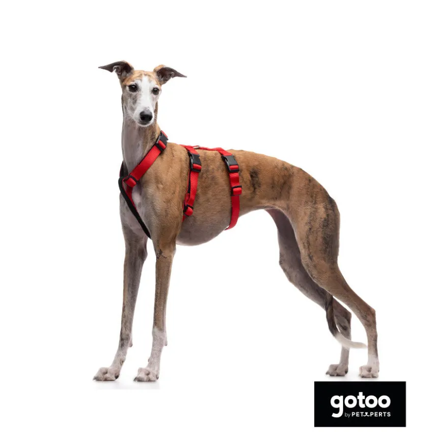 Gotoo Arnês antievasão vermelho para cães