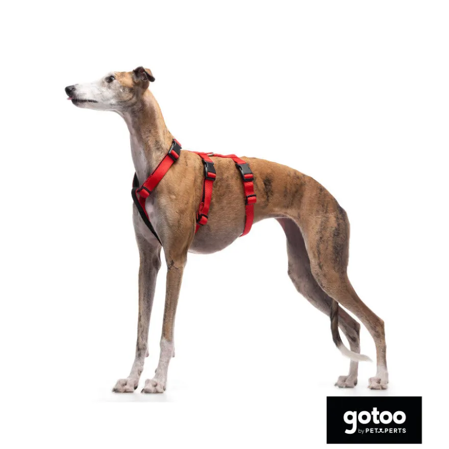 Gotoo Arnês antievasão vermelho para cães