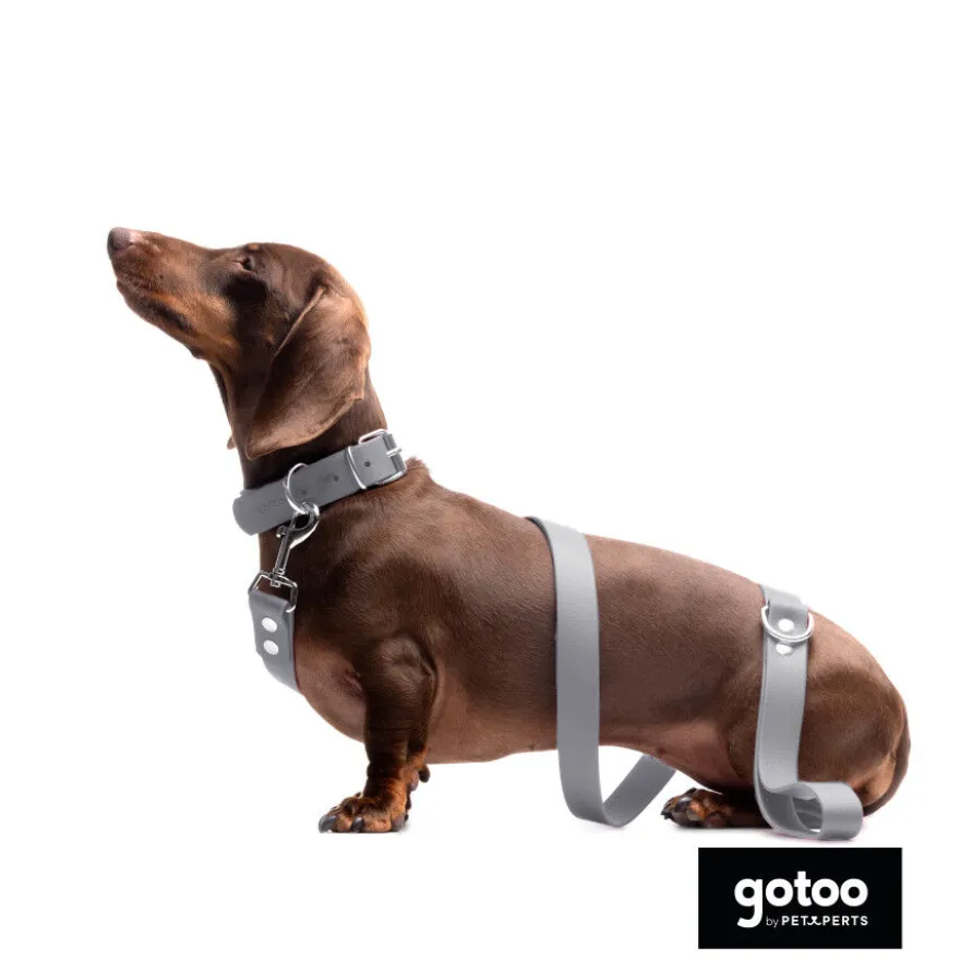 Gotoo Coleira Biothane Cinzenta para cães