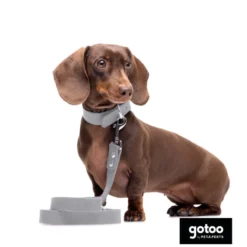 Gotoo Coleira Biothane Cinzenta para cães