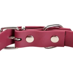 Gotoo Coleira Biothane vermelho vinho para cães