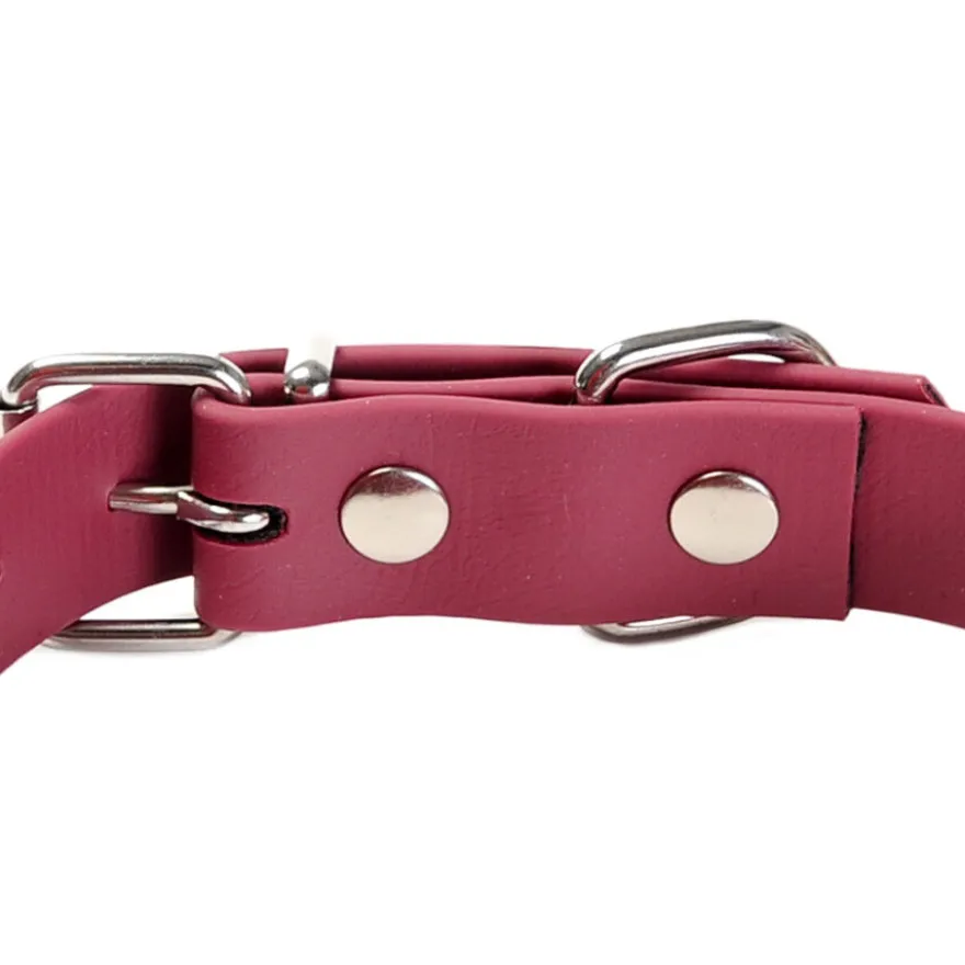 Gotoo Coleira Biothane vermelho vinho para cães