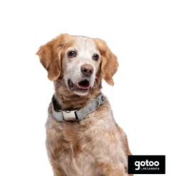 Gotoo Coleira com estampa de flores para cães