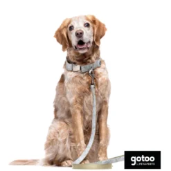 Gotoo Coleira com estampa de flores para cães