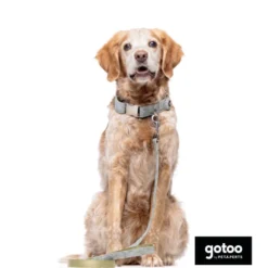 Gotoo Coleira com estampa de flores para cães