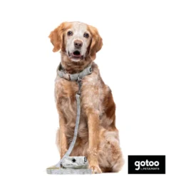 Gotoo Coleira com estampa de flores para cães