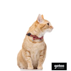 Gotoo Coleira com guizo vermelha para gatos