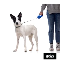 Gotoo Coleira de nylon preta para cães