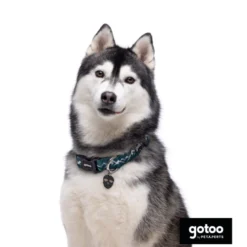 Gotoo Coleira estampada verde para cães