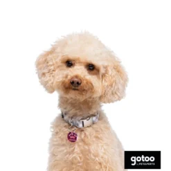 Gotoo Coleira estampada xadrez para cães
