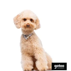 Gotoo Coleira estampada xadrez para cães