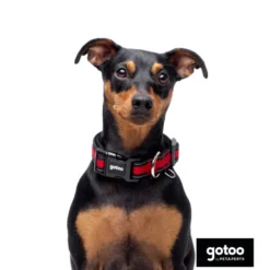 Gotoo Coleira Malha vermelha para cães