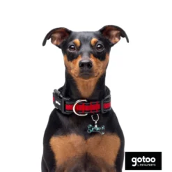 Gotoo Coleira Malha vermelha para cães