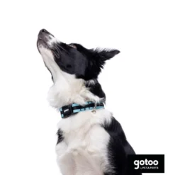 Gotoo Coleira mesh turquesa para cães