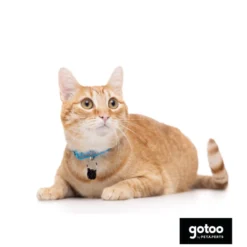 Gotoo Coleira nylon azul para gatos