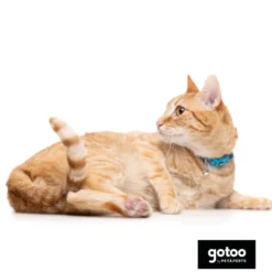 Gotoo Coleira nylon azul para gatos