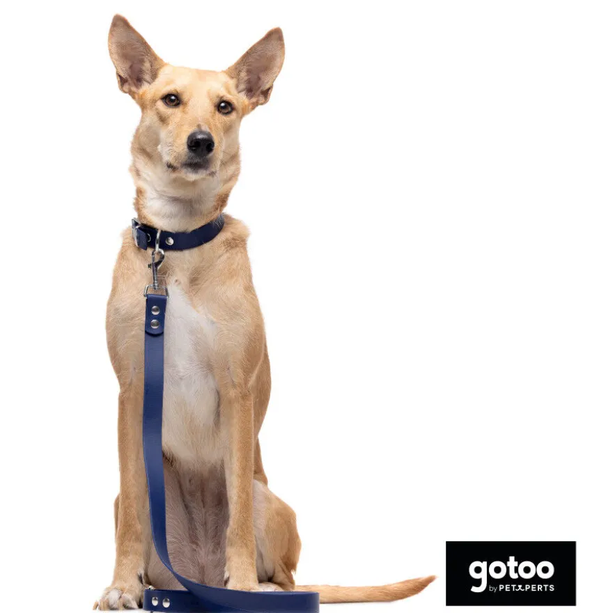 Gotoo Coleira vegan azul para gatos