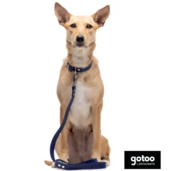 Gotoo Coleira vegan azul para gatos