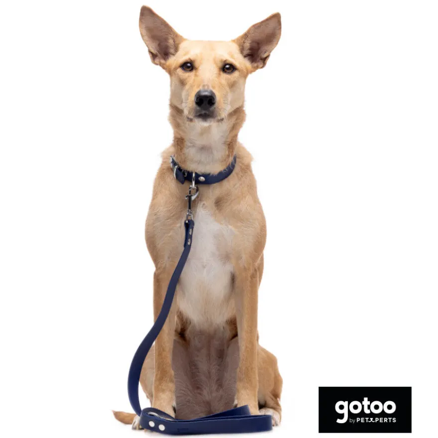 Gotoo Coleira vegan azul para gatos