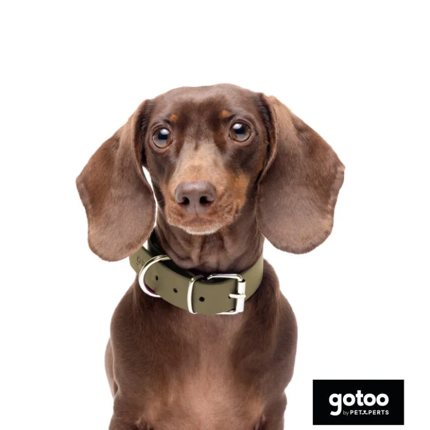 Gotoo Coleira vegan verde oliva para cães