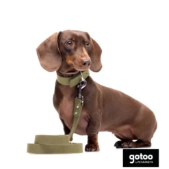 Gotoo Coleira vegan verde oliva para cães
