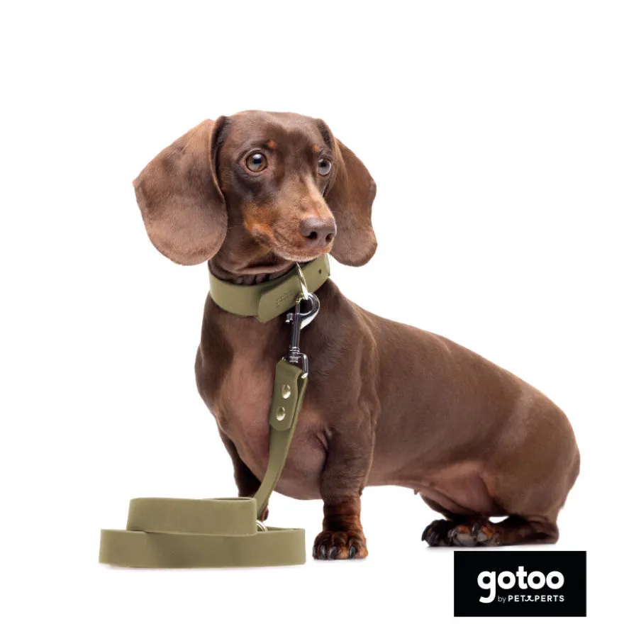 Gotoo Coleira vegan verde oliva para cães