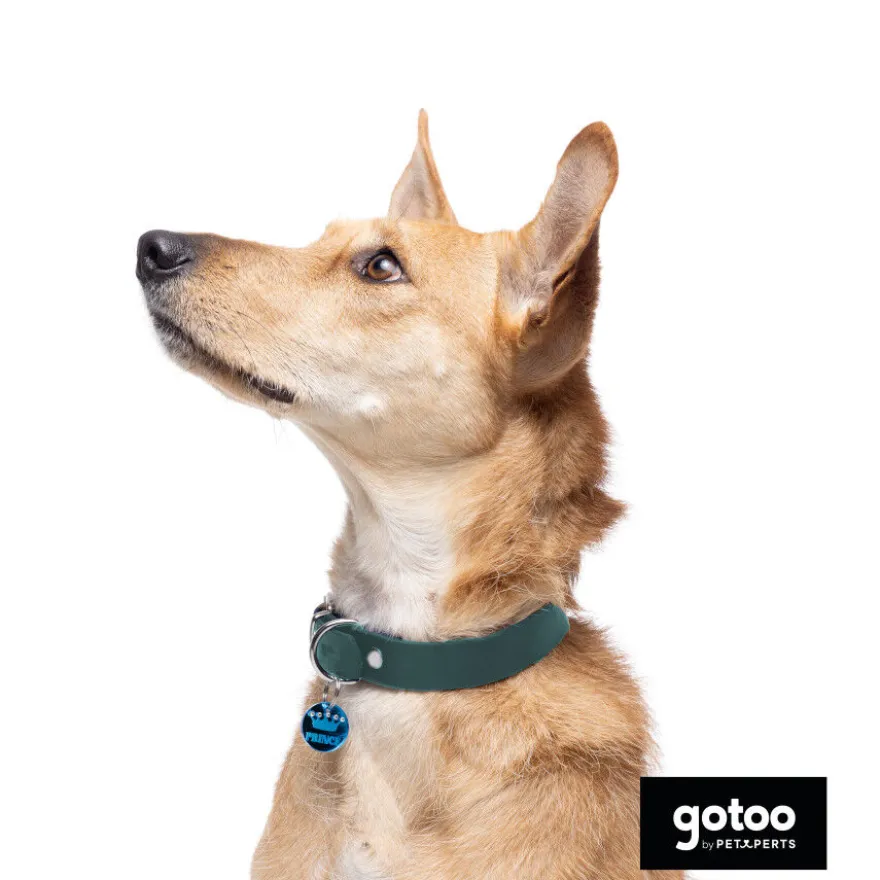 Gotoo Coleira vegan verde para cães