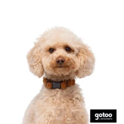 Gotoo Coleira veludo castanho para cães