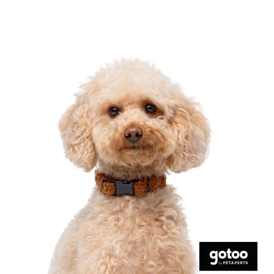 Gotoo Coleira veludo castanho para cães