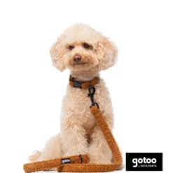 Gotoo Coleira veludo castanho para cães