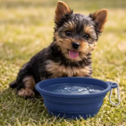 Gotoo Comedouro Dobrável e Portátil em Silicone Azul para cães e gatos