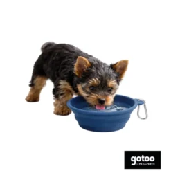 Gotoo Comedouro Dobrável e Portátil em Silicone Azul para cães e gatos