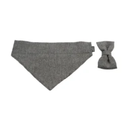 Gotoo Conjunto Bandana e Gravata espinha cinza para cães