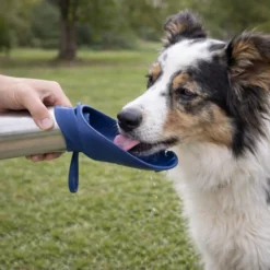 Gotoo Garrafa Bebedouro Portátil em Aço Inoxidável Azul para cães