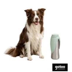 Gotoo Garrafa Bebedouro Portátil em Aço Inoxidável Verde para cães