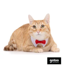 Gotoo Laço vermelho para gatos