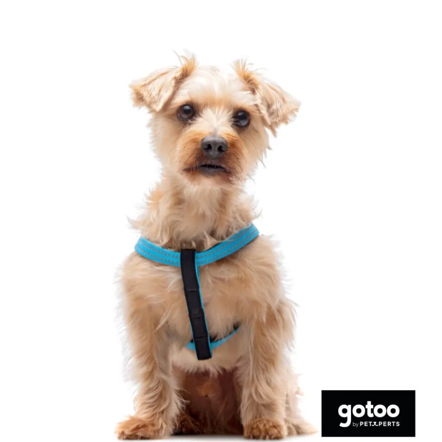 Gotoo Peitoral azul de nylon refletor para cães